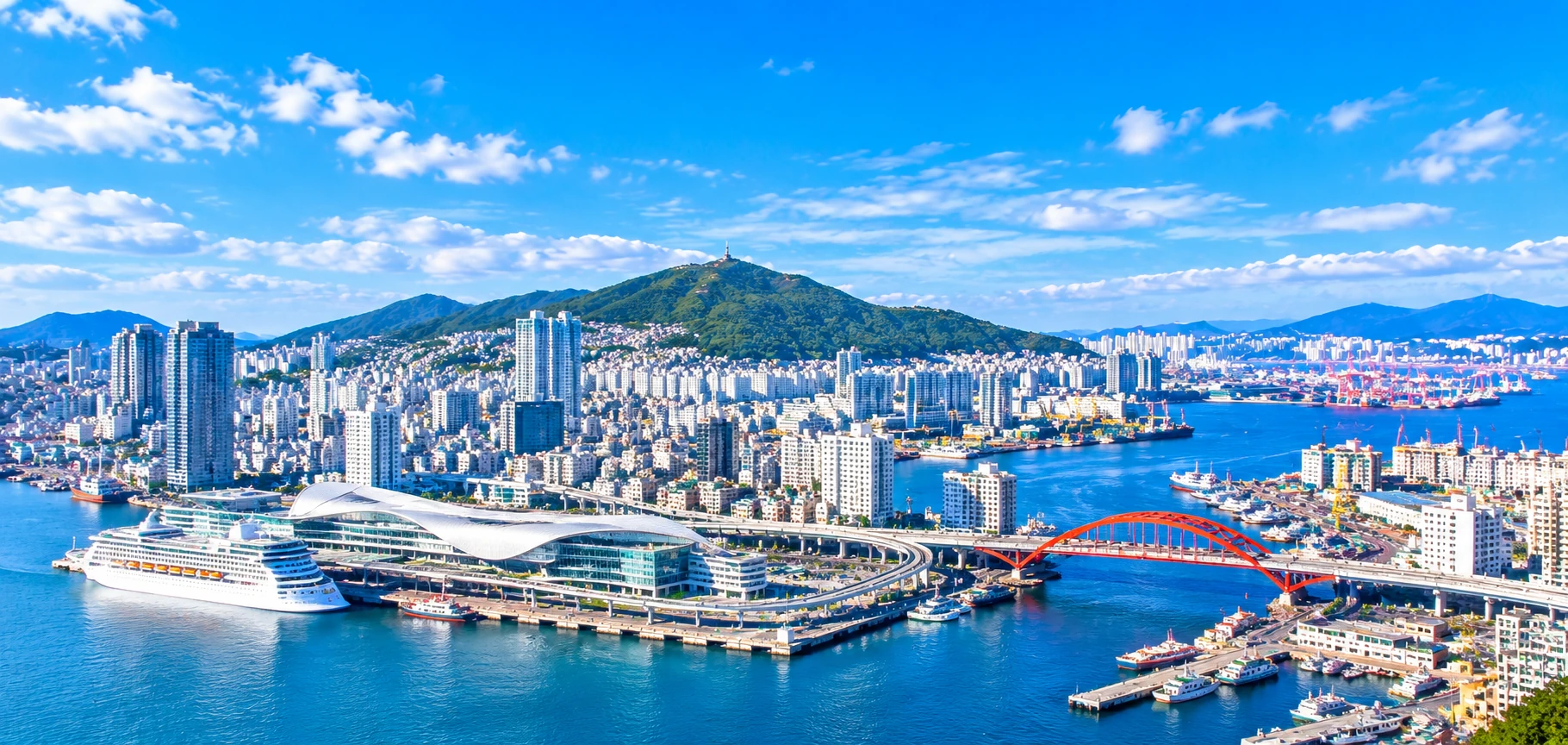 동구 지역 이미지